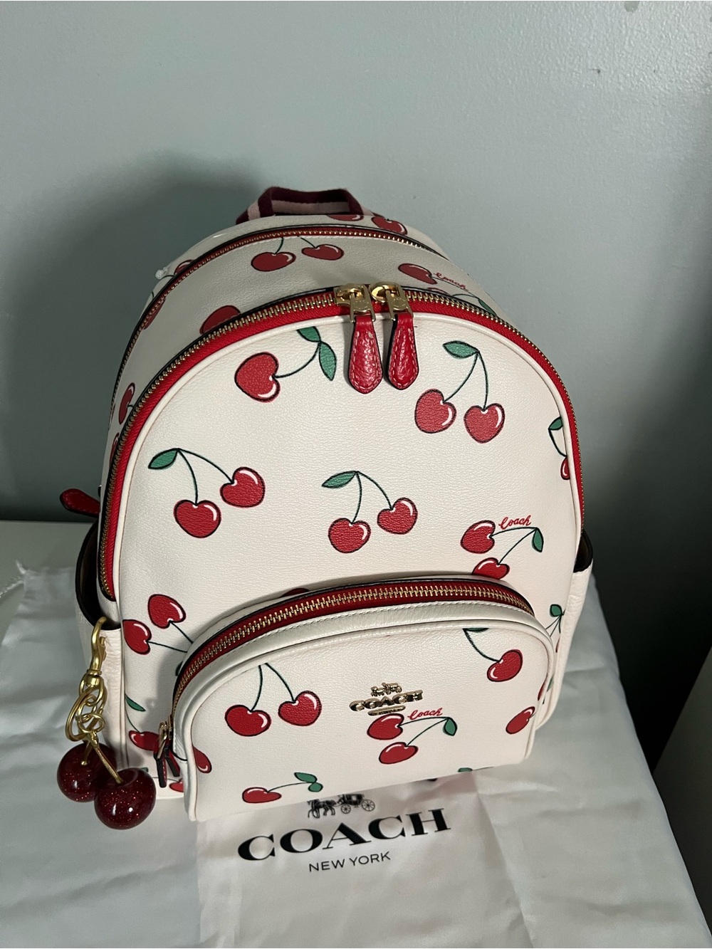 Coach Court Backpack With Heart Cherry Print - Picture 7 of 12
